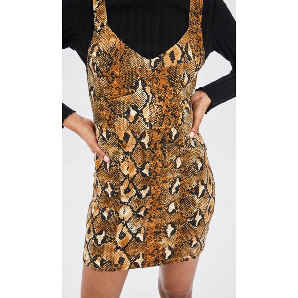 Zara Mini Dress